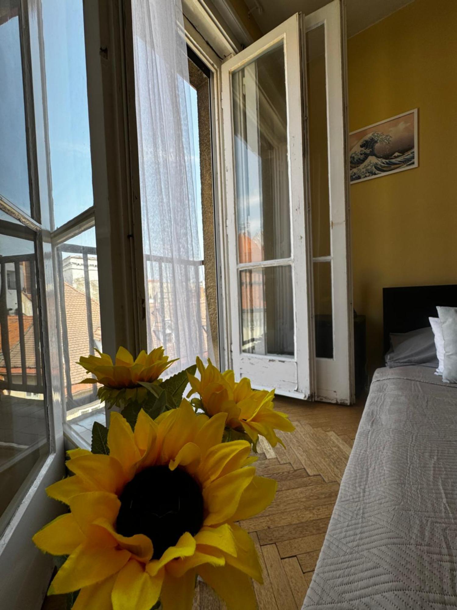 Extralarge Queen Room In The Heart Of Bratislava With Terrace المظهر الخارجي الصورة